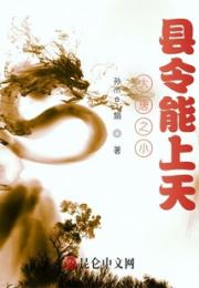 大唐之小县令能上天