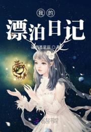 我的漂泊日记
