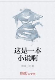 这是一本小说啊