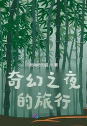 奇幻之夜的旅行