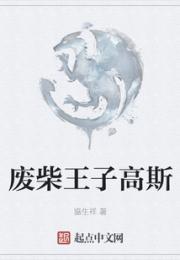 废柴王子高斯