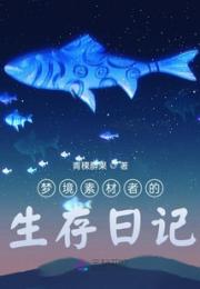 梦境素材者的生存日记