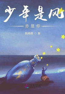 少年是风亦是你