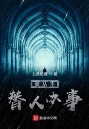 我从不替人办事