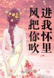 风把你吹进我怀里