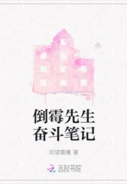 倒霉先生奋斗笔记