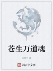 苍生万道魂