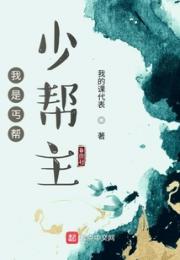 我是丐帮少帮主
