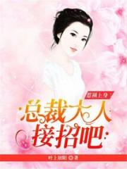 惹祸上身：总裁大人，接招吧！