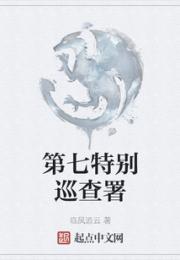 第七特别巡查署