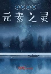全职法师元素之灵