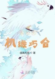 我和你机缘巧合