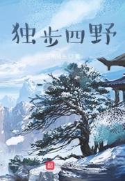 独步四野