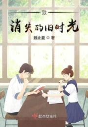 致消失的旧时光