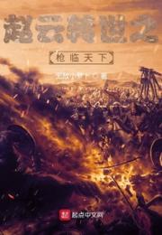 赵云转世之枪临天下