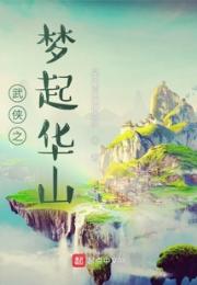 武侠之梦起华山