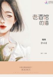 老酒馆的猫