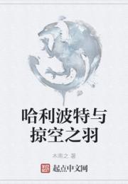 哈利波特与掠空之羽