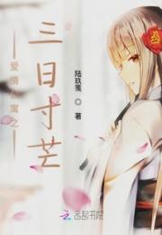 爱情公寓之三日寸芒