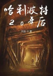 哈利波特20年后