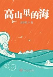 高山里的海