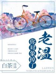 老温，你对象掉了