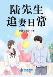 陆先生追妻日常