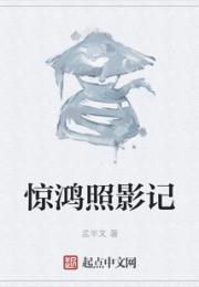 惊鸿照影记