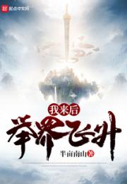 我来后，举界飞升