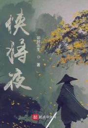 侠将夜