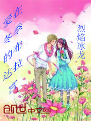 爱在冬季的布达拉宫