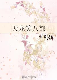 天龙笑八部