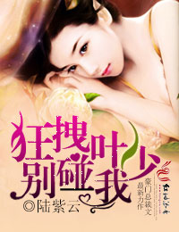 狂拽叶少的婚事