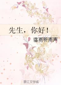 先生，你好！