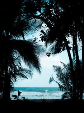 转校生是重生爽文女主