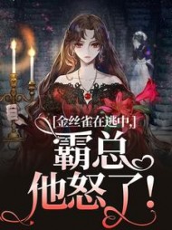 金丝雀在逃中，霸总他怒了阅读