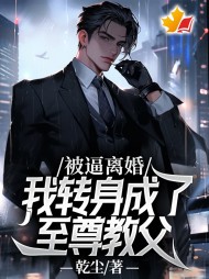 被逼离婚,我转身成了至尊教父by乾尘