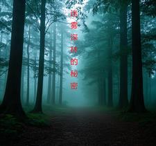 迷雾深林的秘密林恩
