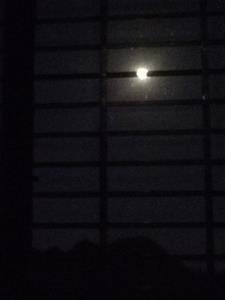 今晚无论如何我都要杀死那只狗(老是断线)阅读