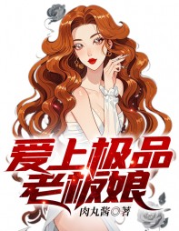 爱上极品老板娘林江宇阅读